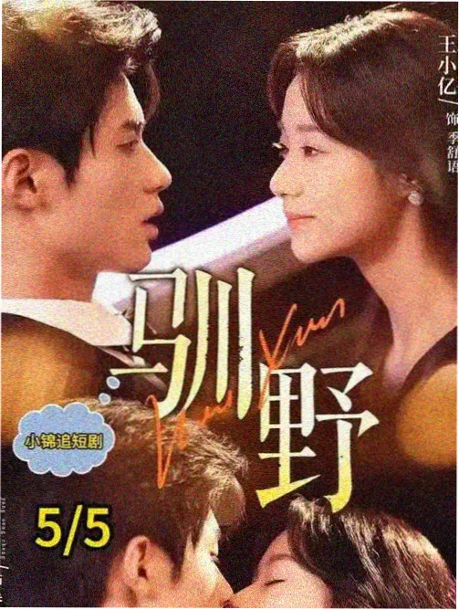 青鸟电视剧推荐